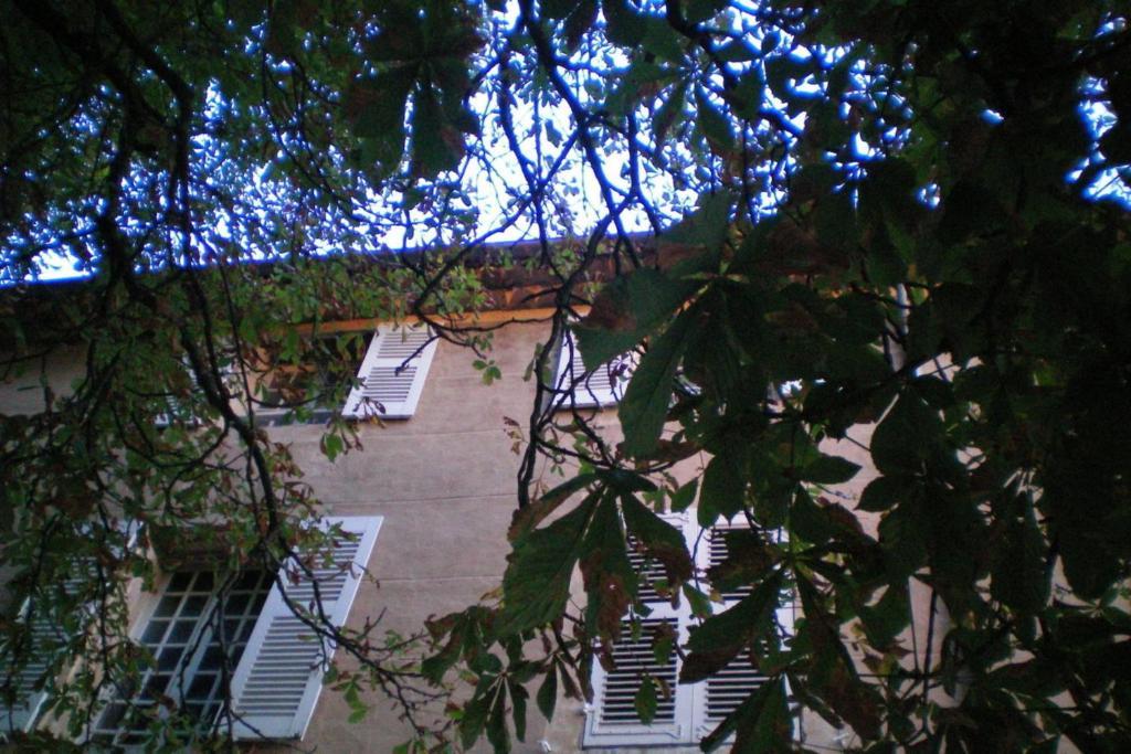 B&B Domaine Le Clos Du Pavillon Brignoles Exterior foto